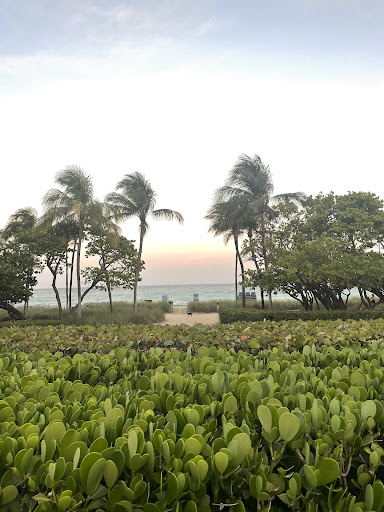 THE RITZ-CARLTON BAL HARBOUR - SPA Gallery - United States