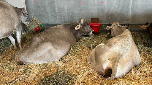 Northwest Washington Fair and Event Center - Thumbnail
