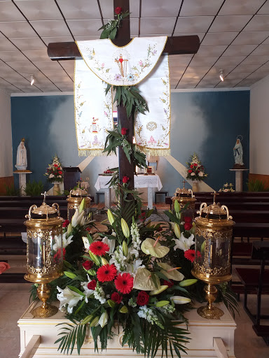 Floristería Verdflor