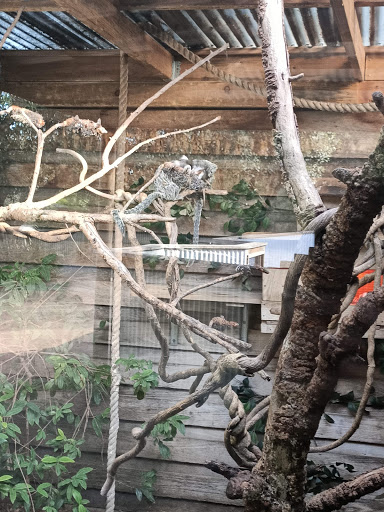 Symbio Wildlife Park, Lawrence Hargrave Dr - Thumbnail