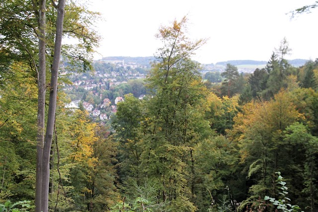 Calw