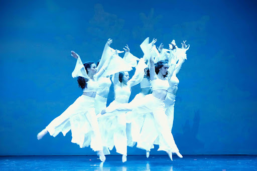Centrodanza Isadora Logo