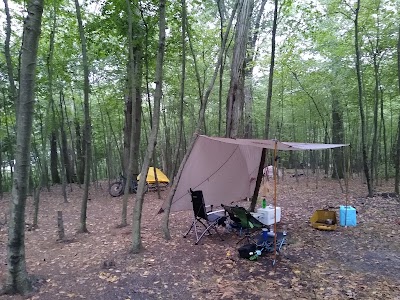 Primitive Campsite #4