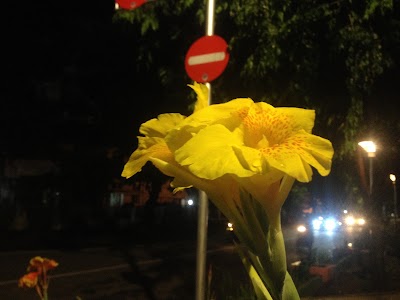 Photos of Taman Impian