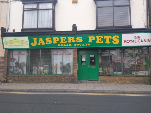 Jaspers Pets - Visual
