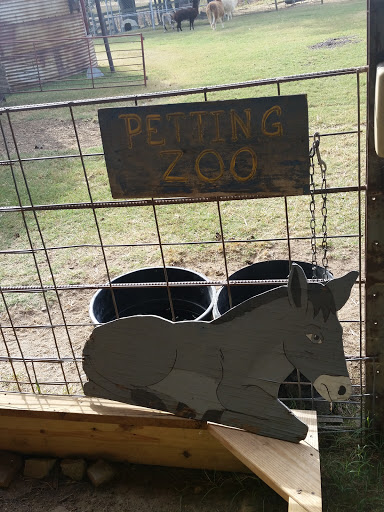 Kidz Kountry Petting Farm - Thumbnail