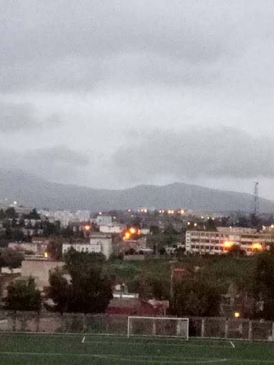 Photos of reuatersia larbi