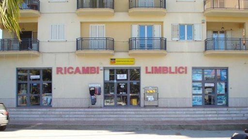 Ricambi Limblici - Thumbnail