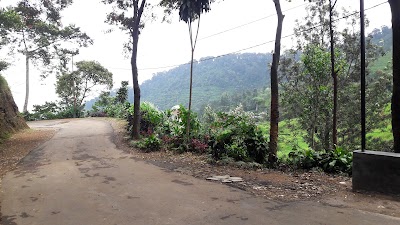 Photos of Puncak Pass Resort