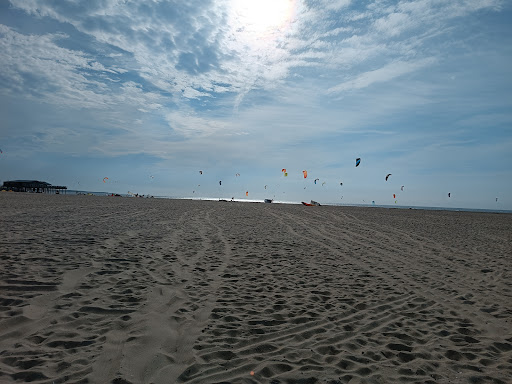 Waverijn - Visual