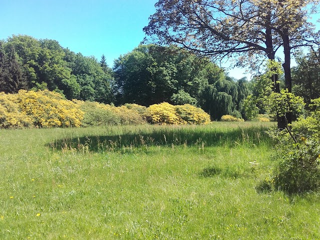 Rhododendronpark Kromlau