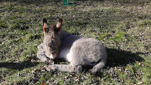 Photo n°13 de Centre de Vacances du Champsaur de la Ville de Marignane à La Fare-en-Champsaur (Maison de vacances)