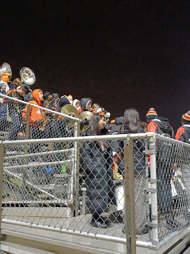 Novi Wildcat Stadium