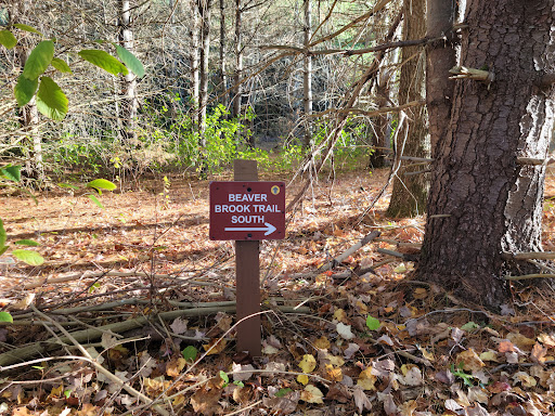 Beaver Brook Trail - Thumbnail