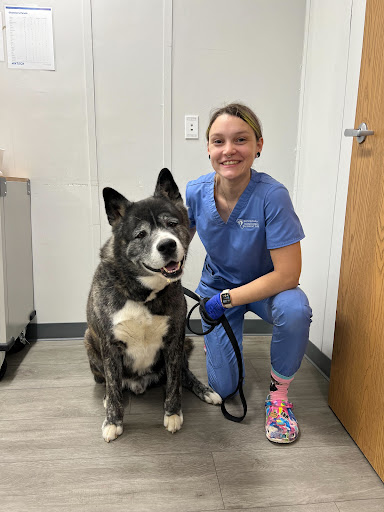Pennsauken Animal Hospital Gallery - United States