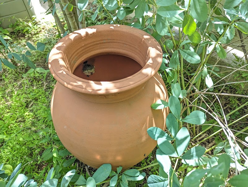 スズメバチ１１０番・南勢養蜂場 四日市受付所