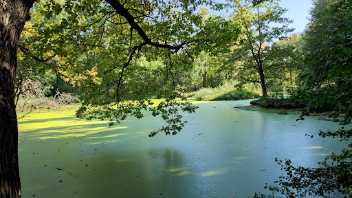 Wuhlgarten - Visual