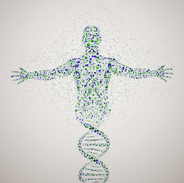 Photo n°1 de Jonathan SERRA Ostéopathe D.O. à La Ravoire (Ostéopathe)