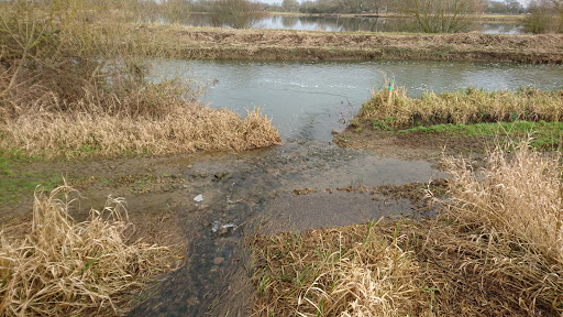 Titchmarsh Nature Reserve - Thumbnail