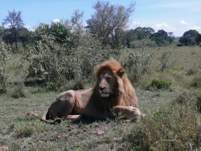 Photos of Olare Mara Kempinski