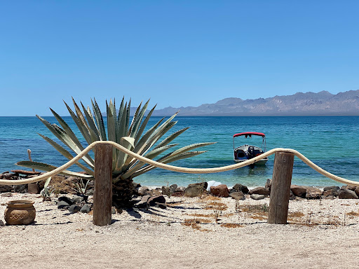 Playa Buenaventura and The ARRGH Bar Gallery - Mexico