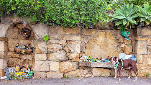 Frog Wall - Visual