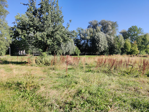 Blaupark - Visual