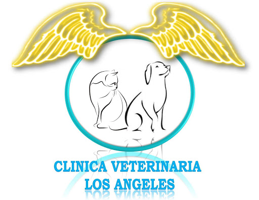 Clinica Veterinaria Los Angeles - Thumbnail