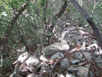 Photos of 조령산