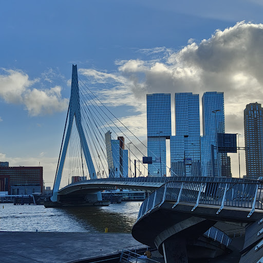The Rotterdam - Thumbnail