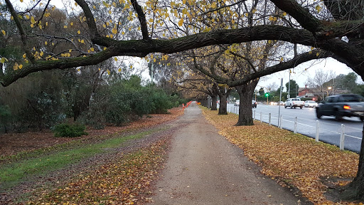 Coulson Reserve - Thumbnail