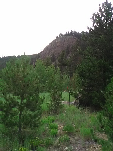 Power Line Parking Lot - Thumbnail