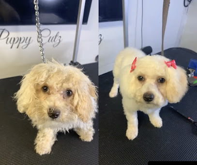 Puppy Cutz