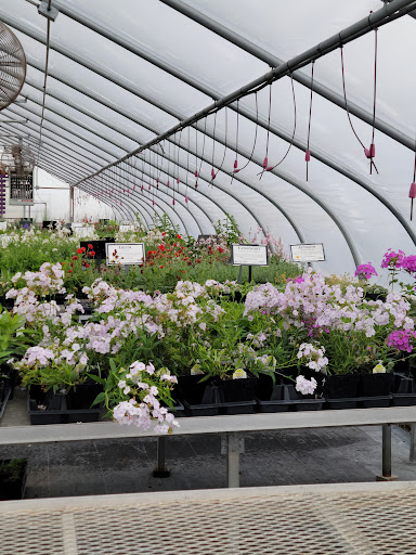 Stone Creek Nursery - Thumbnail