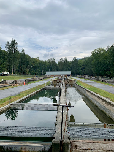 Catskill Fish Hatchery - NYS DEC - Thumbnail