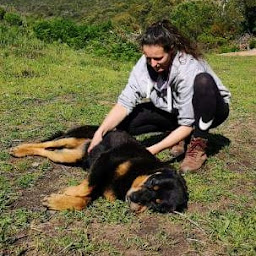 Photo n°6 de Ostéopathe Animalier Alix Histre, Ėquins, Bovins, Chiens, Chats, Oiseaux, NAC à Férolles (Ostéopathe)