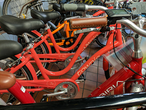 Court Cycles - Thumbnail