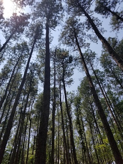 Tuckahoe State Park Campground