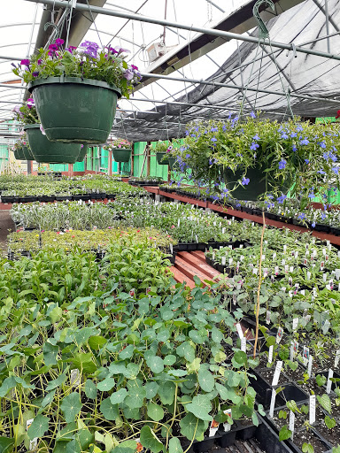 King's Eastside Greenhouse - Thumbnail