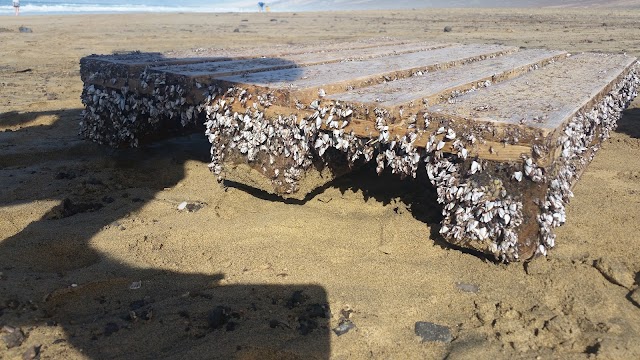 Playa de Cofete