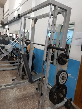 Magnum Gym, Author: alberto piro