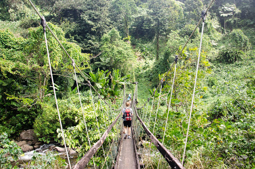 Bouma National Heritage Park Taveuni Island Destimap Destinations On Map