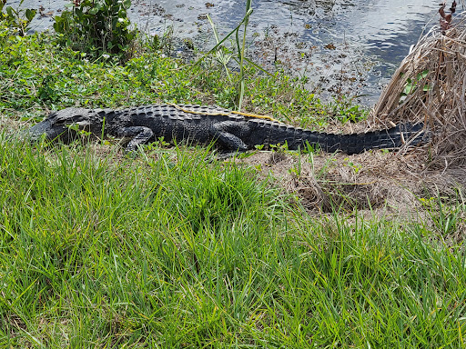 Apoxee Trail Gallery - United States