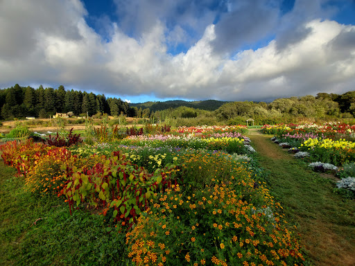 Redwood Roots Farm Cooperative - Thumbnail
