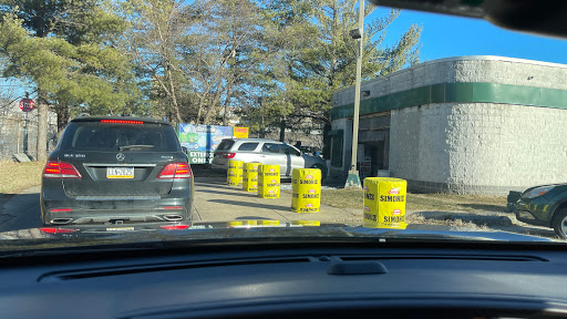Chestnut Car Wash Logo