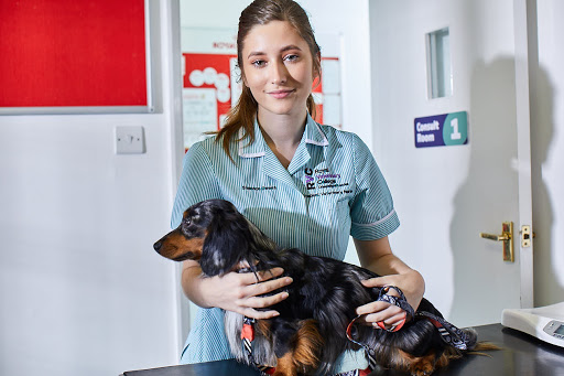 Best Friends Vet Group, Shenfield - Thumbnail