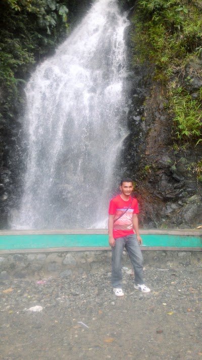 Photos of Niagara Tangse