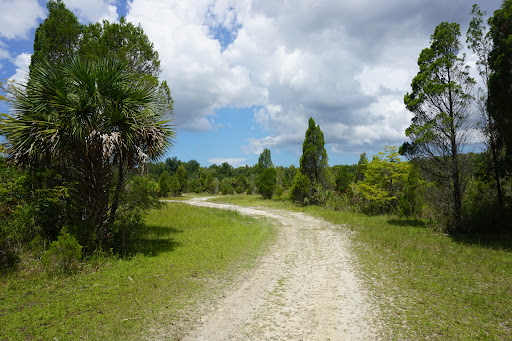 Hog Pond Trail Withlacoochee State Forest - Thumbnail