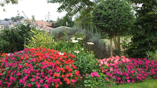 Photo de Chlorophylle à Presles (95590)