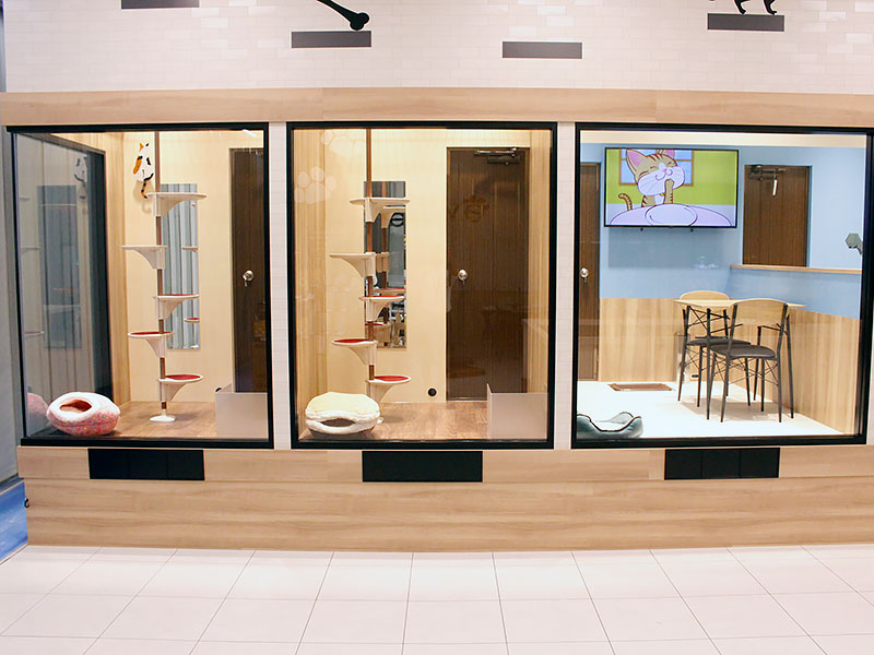 ペットショップ ワンラブ イオン戸畑店